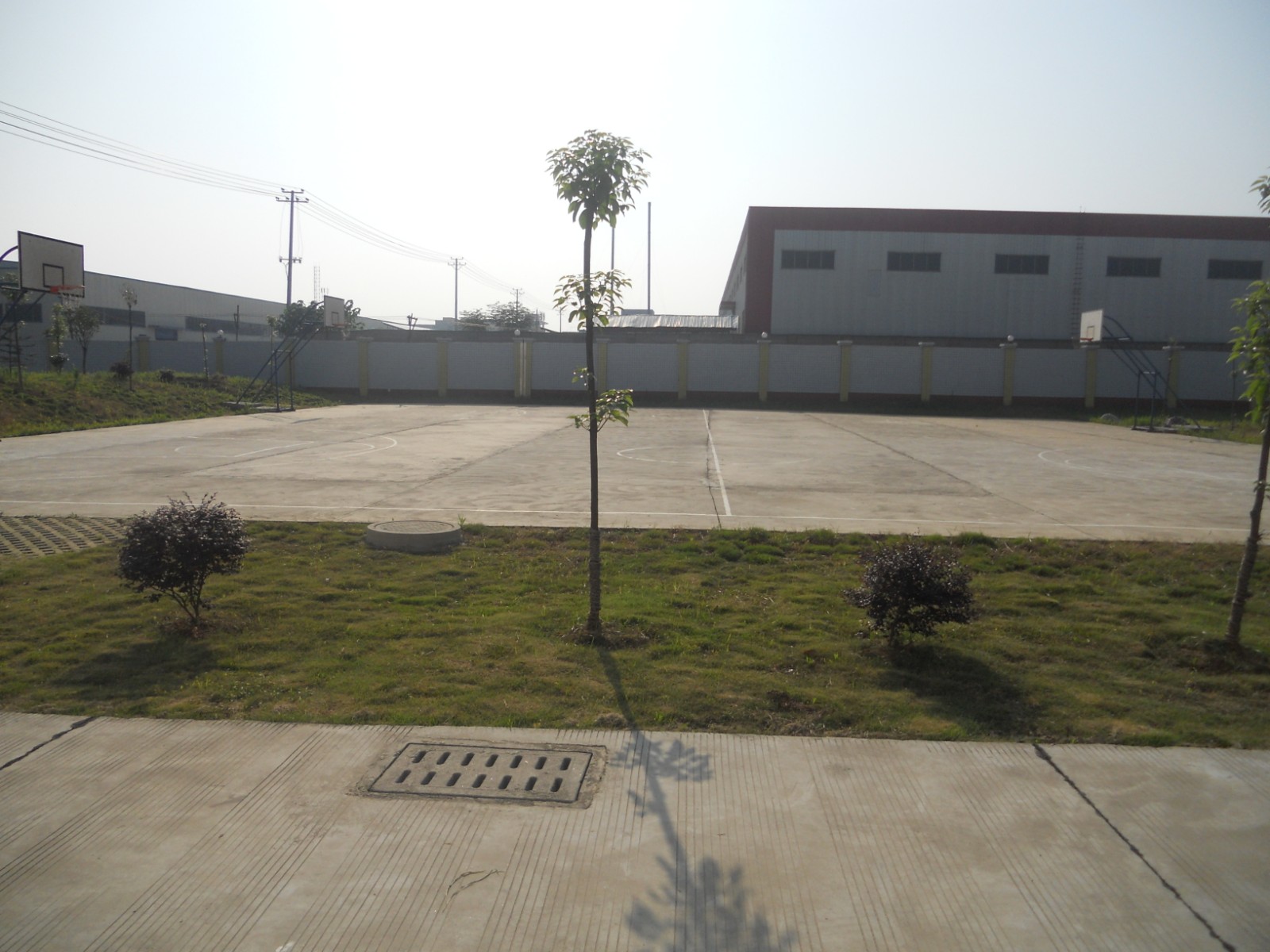 藍球場.jpg