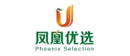 碧桂园集团-广东顺德凤凰优选商业有限公司