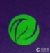 湖南紫艺茶业有限公司
