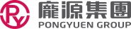 深圳市庞源投资集团有限公司