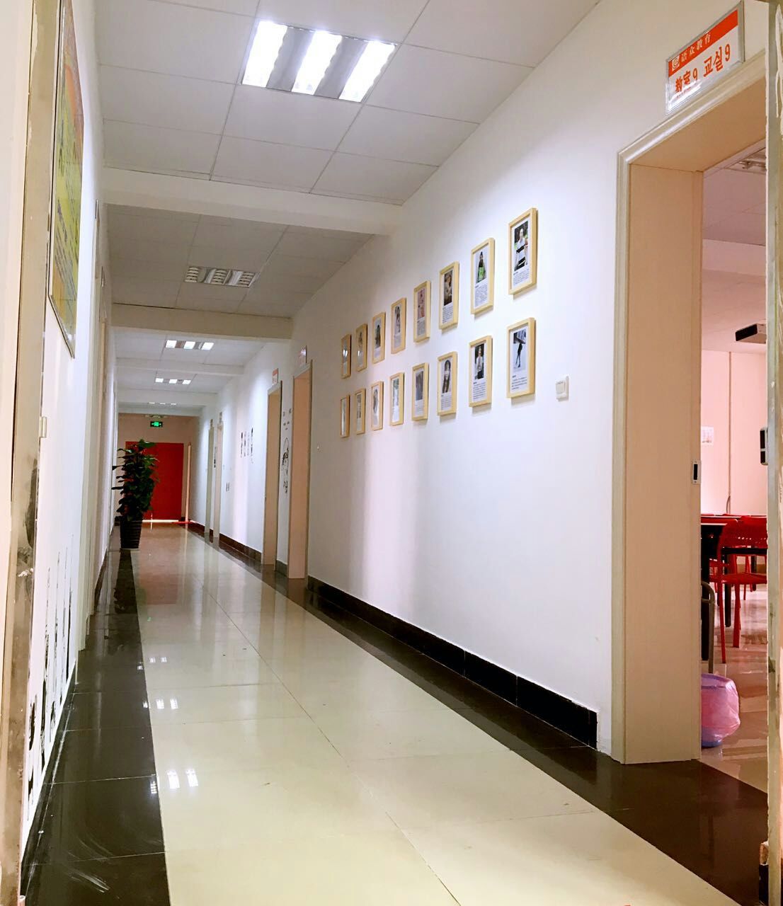 mmexport1453187205550