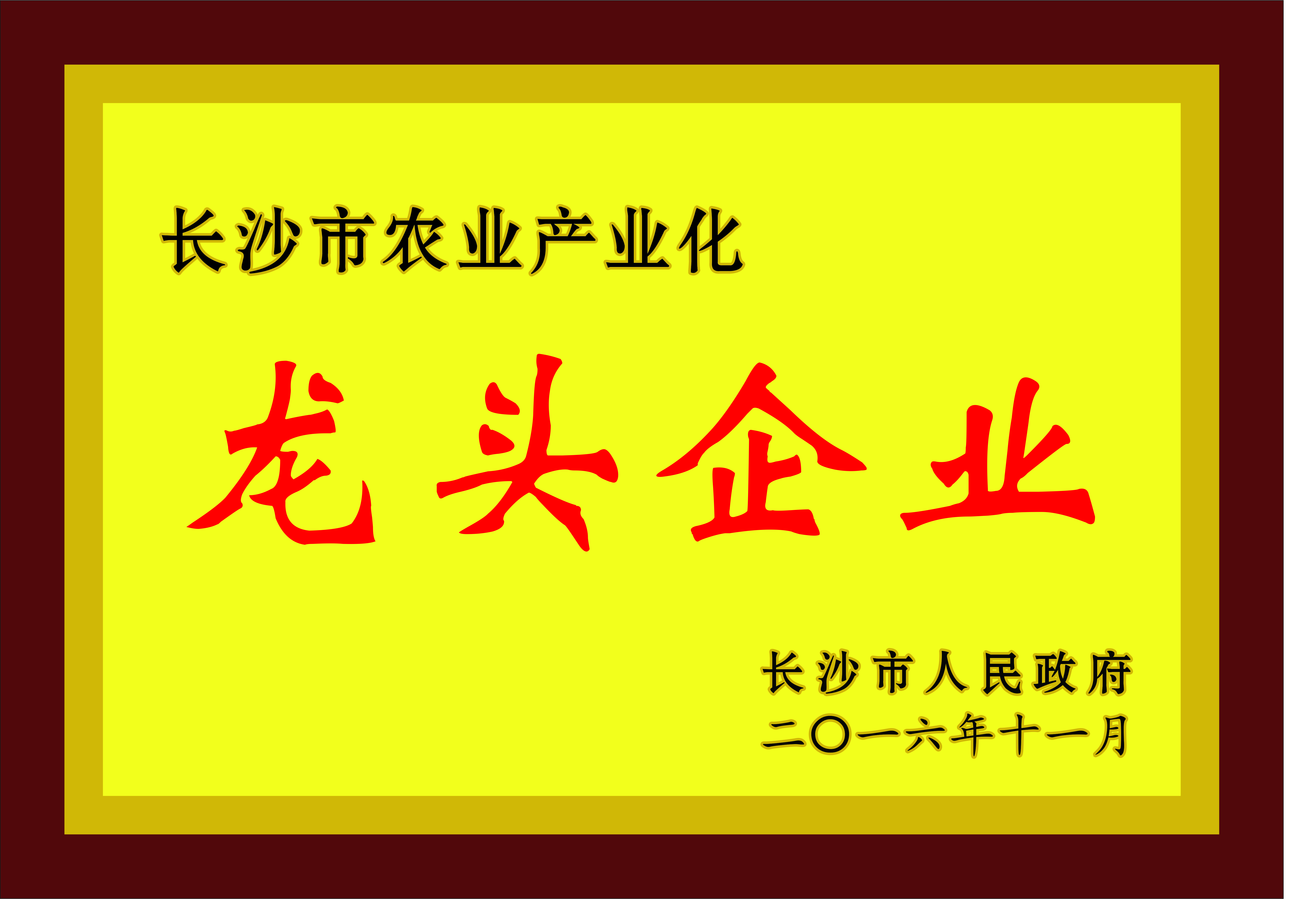 奖牌 龙头企业