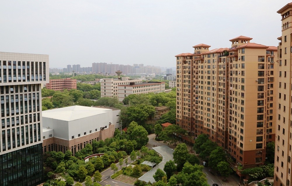 天园环境5.JPG