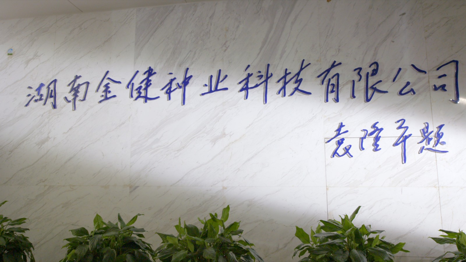 公司门口.jpg