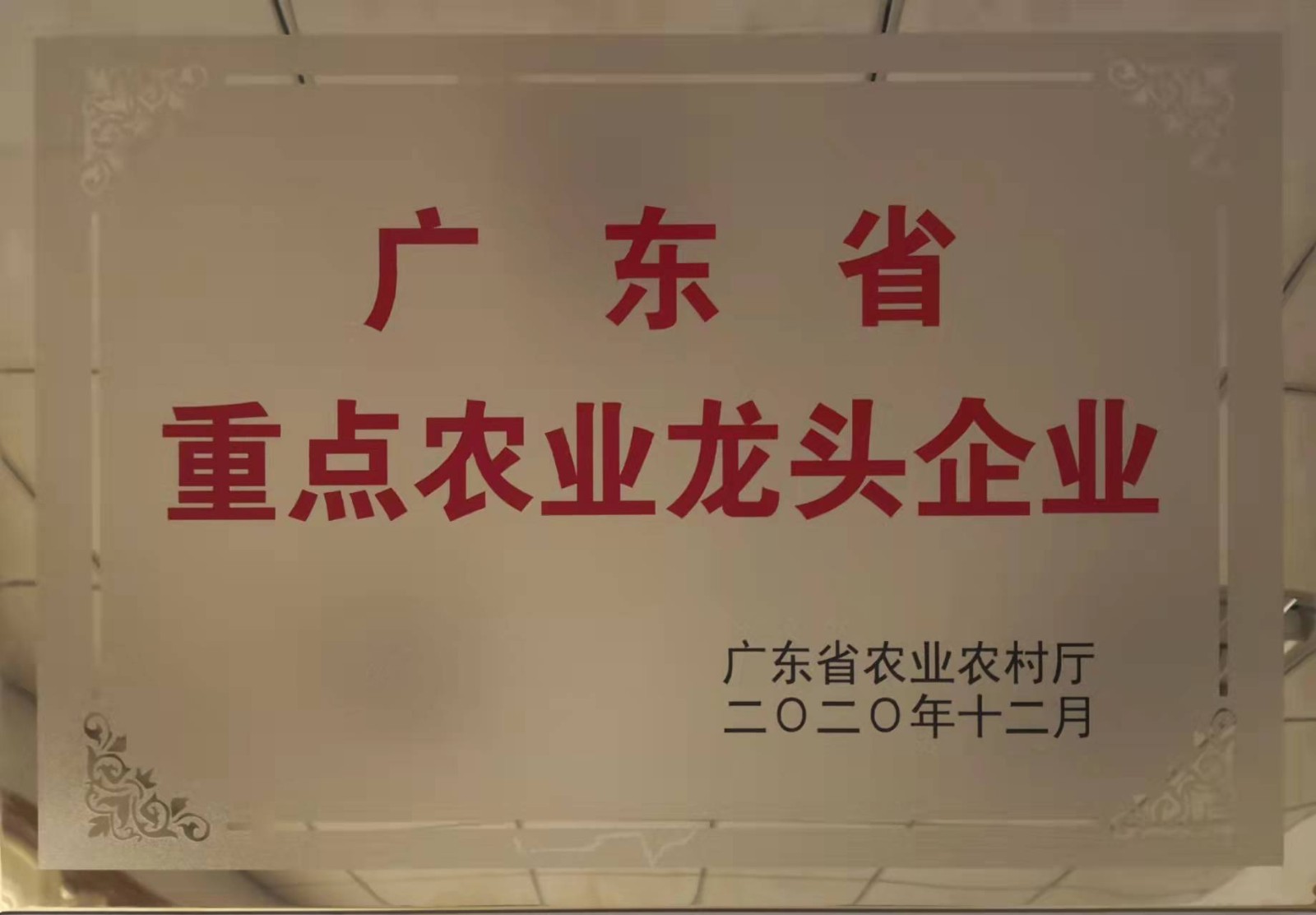 广东省重点农业龙头企业.jpg 广东省重点农业龙头企业.jpg