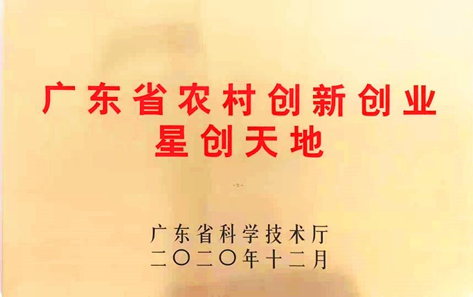 星创天地.jpg 星创天地.jpg