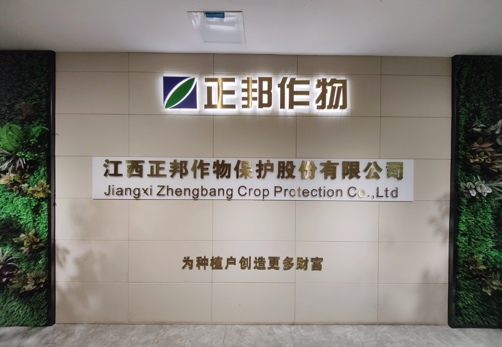 公司(1).jpg